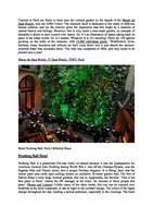 www.theculturetrip.com Dec 16th 2015, Vertical Garden by Patrick Blanc