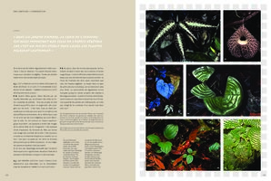 Garden Lab Septembre 2017, Vertical Garden by Patrick Blanc