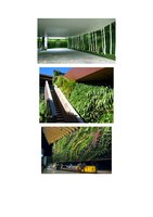 www.lemonde.fr 20 mars 2017, Vertical Garden by Patrick Blanc