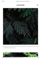 Audi Magazine August 2018, Vertical Garden by Patrick Blanc