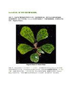 wemp 2019 Patrick Blanc