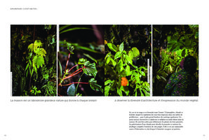 Garden Lab n°12, maison de Patrick Blanc 