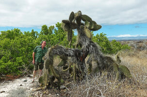 Ile Maison Patrick Blanc Spring 2022