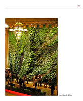 Up Close with Dr Patrick Blanc, Citygreen, Singapore, January 2011