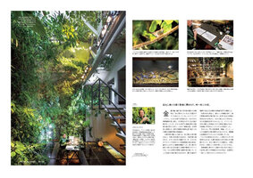 Brutus January 2023 Patrick Blanc