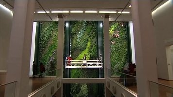 Patrick Blanc &quot;Vertikaler Garten&quot; Berlin, Vertical Garden by Patrick Blanc