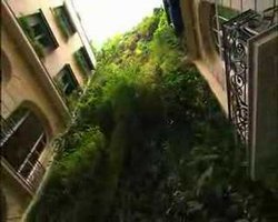 Patrick Blanc, Vertical Garden interview in Paris