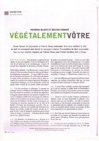 Beaux Art Magazine Juin 2002, Vertical Garden by Patrick Blanc