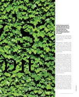 Design Indaba mag 2009 Vertical farming, Vertical Garden by Patrick Blanc