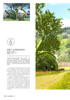 Prime magazine Jan 2010, Vertical Garden by Patrick Blanc