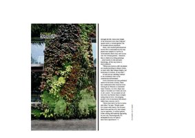 Qantas Magazine March 2010, Vertical Garden by Patrick Blanc