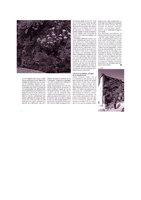 Archi Créé 2000, Vertical Garden by Patrick Blanc