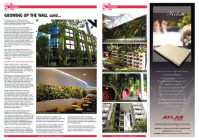 The Guru, spring 2010, Vertical Garden by Patrick Blanc