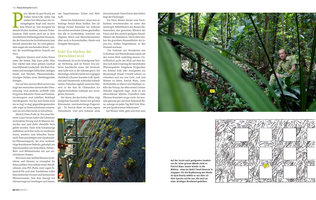 GEO  Aug 2011, Vertical Garden by Patrick Blanc