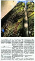 Tagesspiegel, Haus und Garten,  Jan 2012, Vertical Garden by Patrick Blanc