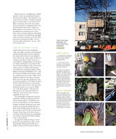 San Francisco Magazine April 2011, Vertical Garden by Patrick Blanc