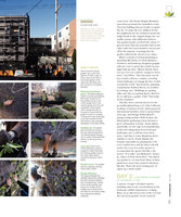 San Francisco Magazine April 2011, Vertical Garden by Patrick Blanc