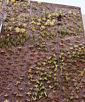 San Francisco Magazine April 2011, Vertical Garden by Patrick Blanc