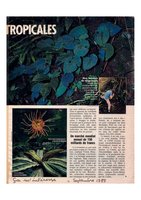 ça m&#039;intéresse, Sept 1988, Vertical Garden by Patrick Blanc