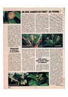 ça m&#039;intéresse, Sept 1988, Vertical Garden by Patrick Blanc