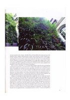 Gardens Illustrated - Oct. 02