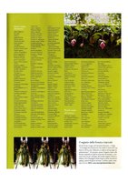 Gardenia - June 2008, Vertical Garden by Patrick Blanc