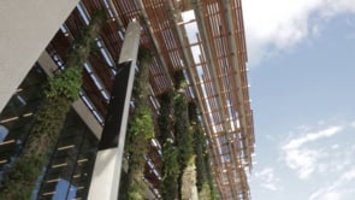 PAMM, Interview December 2013, Miami, Vertical Garden by Patrick Blanc