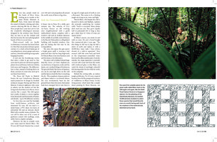 Geo International, April 2012, Vertical Garden by Patrick Blanc
