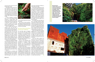 Geo International, April 2012, Vertical Garden by Patrick Blanc