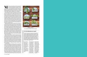 La Nacion, Jardines Verticales, Dec 2012, Vertical Garden by Patrick Blanc