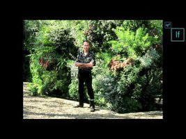  Iq2 If Conference London 25th Nov 2011, Patrick Blanc: The vertical garden, from nature to cities