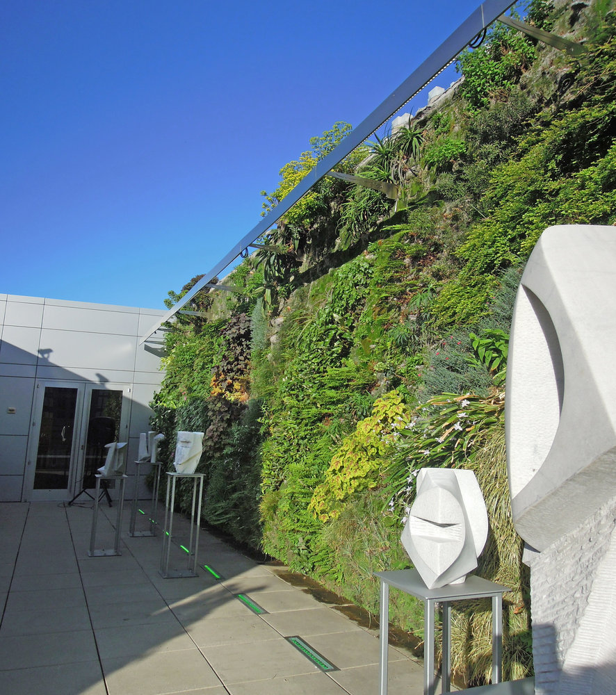 Foundation for the Carolinas, Charlotte NC Mur Vegetal Patrick Blanc