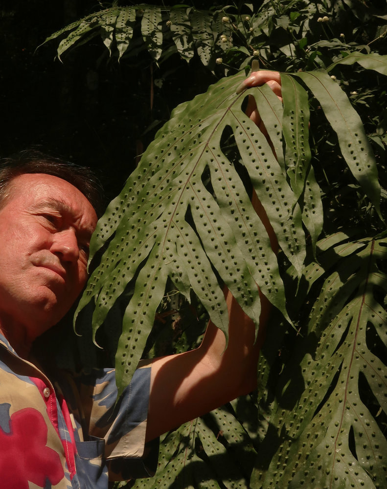 mur vegetal patrick blanc