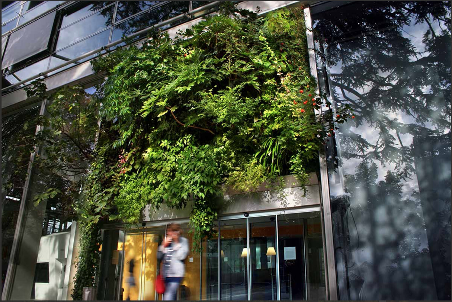 Fondation Cartier Paris Mur Vegetal Patrick Blanc
